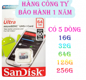 Thẻ Nhớ MicroSD SanDisk 256,128, 64Gb, 32, 16GB 100Mb/s Class 10 - Hàng CTY